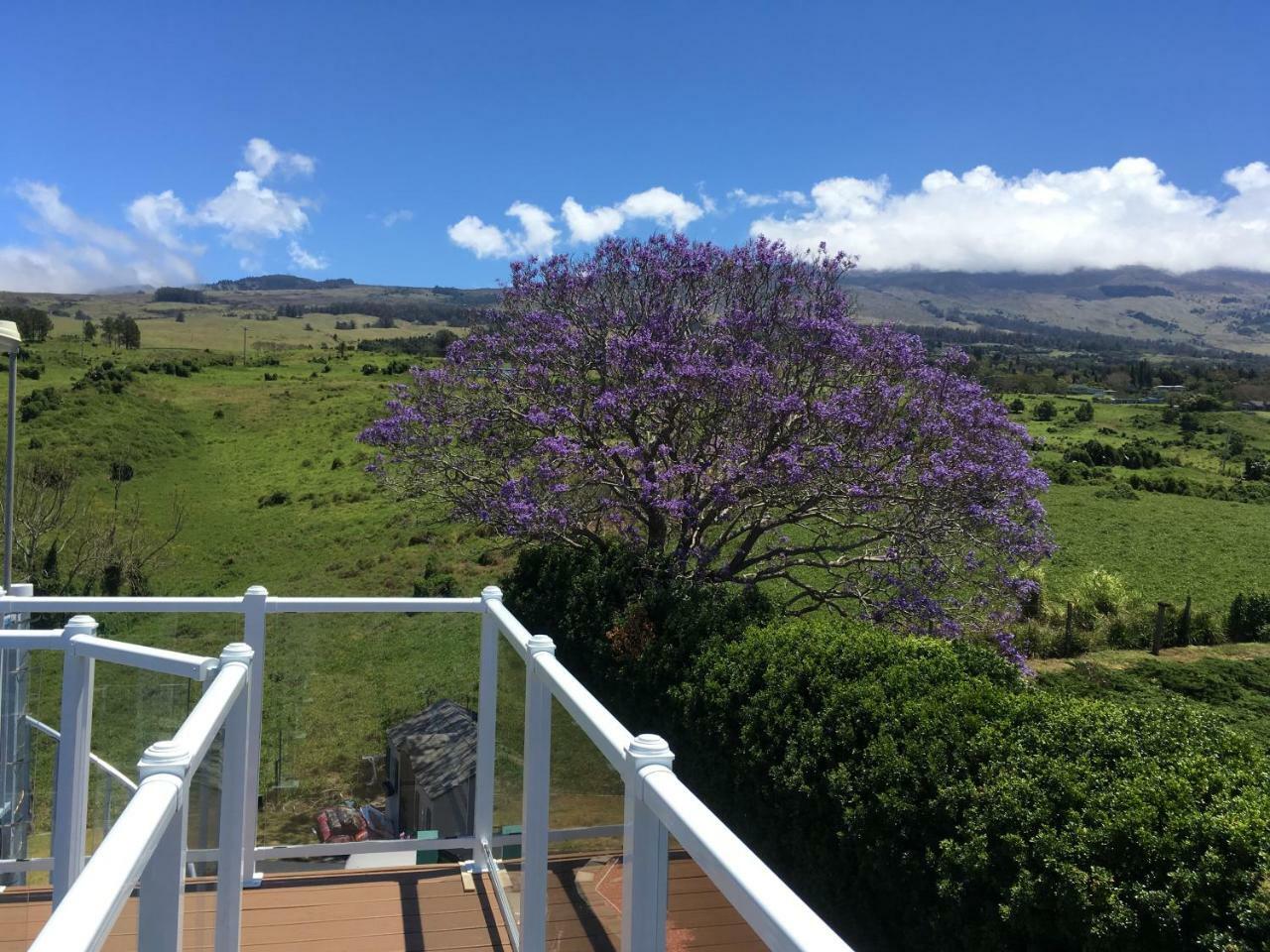 Kula Ha'Le Kiana Bed & Breakfast エクステリア 写真